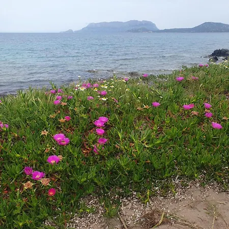 Del Golfo Σπίτι διακοπών Όλμπια