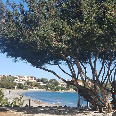 Del Golfo * Olbia