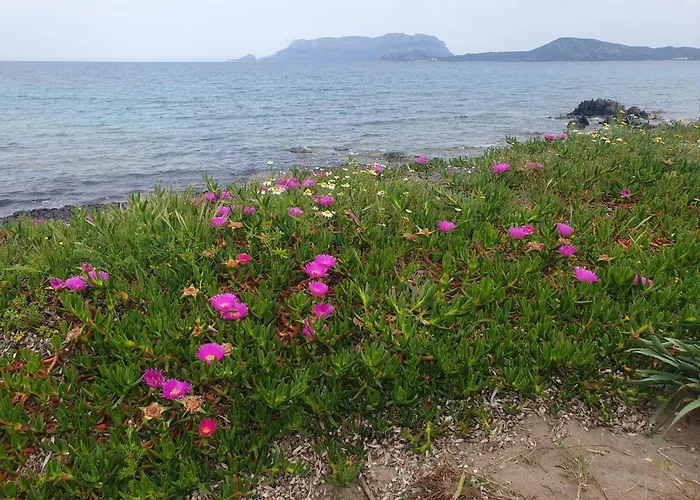 Del Golfo Dom wakacyjny Olbia