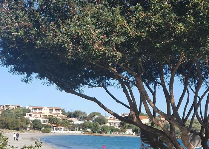 Del Golfo * Ольбия